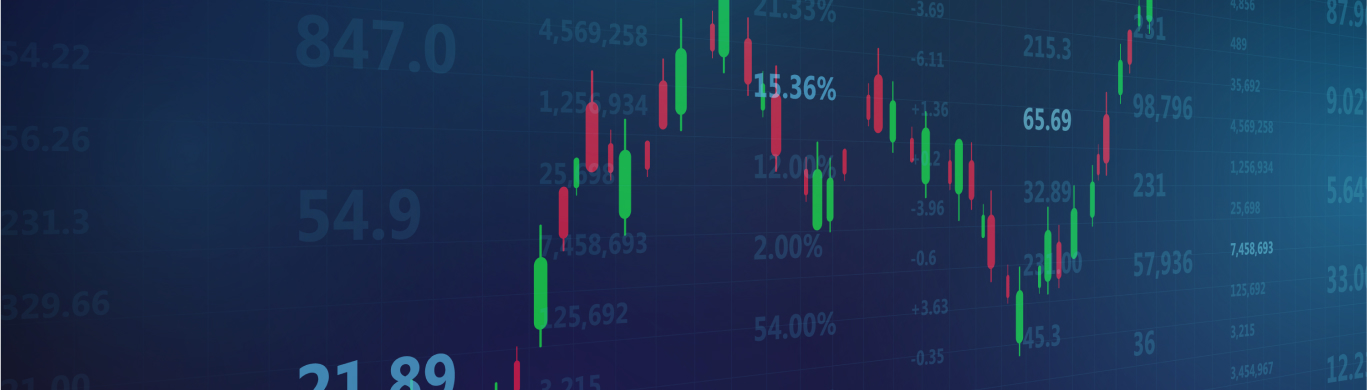 Tata Capital Growth Fund - Our Diversified Portfolio